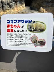 大分マリーンパレス水族館 「うみたまご」に投稿された画像（2026/3/12）