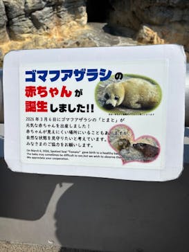 大分マリーンパレス水族館 「うみたまご」に投稿された画像（2026/3/12）