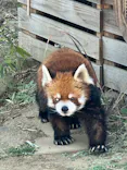 千葉市動物公園に投稿された画像（2026/3/12）