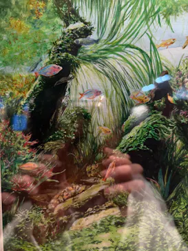 みろくの里に投稿された画像（2026/3/12）