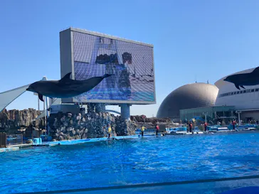 名古屋港水族館に投稿された画像（2026/3/12）