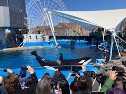 名古屋港水族館に投稿された画像（2026/3/12）