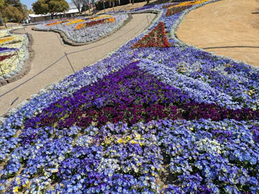 安城産業文化公園デンパークに投稿された画像（2026/3/12）