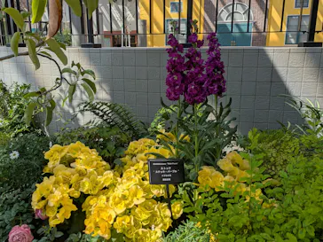 安城産業文化公園デンパークに投稿された画像（2026/3/12）