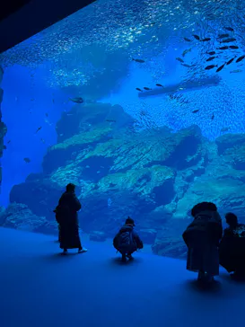 仙台うみの杜水族館に投稿された画像（2026/3/12）
