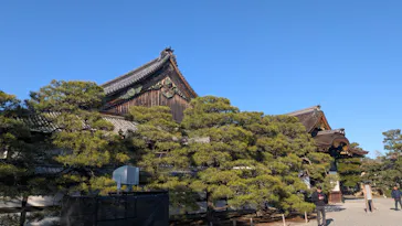 元離宮二条城に投稿された画像（2026/3/12）