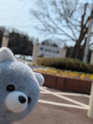 みろくの里に投稿された画像（2026/3/12）