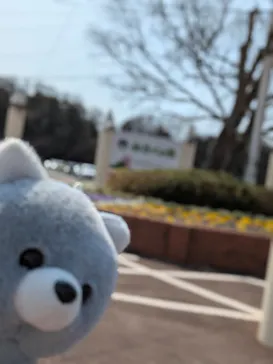 みろくの里に投稿された画像（2026/3/12）