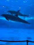 名古屋港水族館に投稿された画像（2026/3/12）