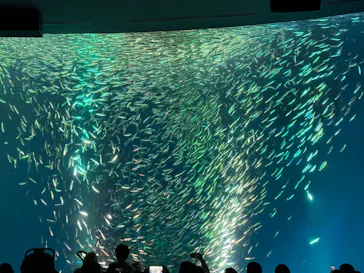 名古屋港水族館に投稿された画像（2026/3/12）