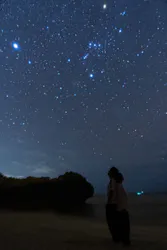 イケマ アイランドに投稿された画像（2026/3/12）