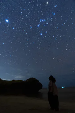 イケマ アイランドに投稿された画像（2026/3/12）