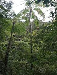 奄美愛ネットに投稿された画像（2026/3/12）