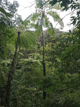 奄美愛ネットに投稿された画像（2026/3/12）