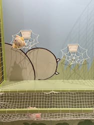 ちいかわパークに投稿された画像（2026/3/12）