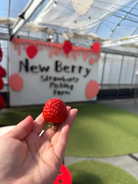 ニューベリーに投稿された画像（2026/3/12）