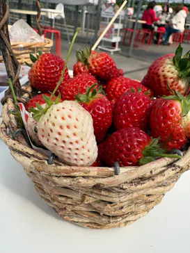 ニューベリーに投稿された画像（2026/3/12）