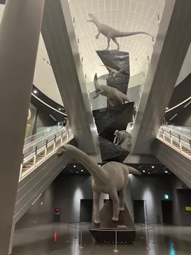 福井県立恐竜博物館に投稿された画像（2026/3/12）