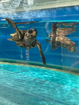 名古屋港水族館に投稿された画像（2026/3/12）