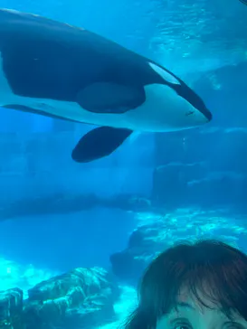 名古屋港水族館に投稿された画像（2026/3/12）