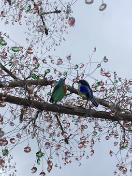 箱根ガラスの森美術館に投稿された画像（2026/3/12）