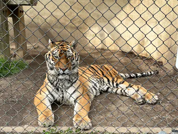 広島市安佐動物公園に投稿された画像（2026/3/12）