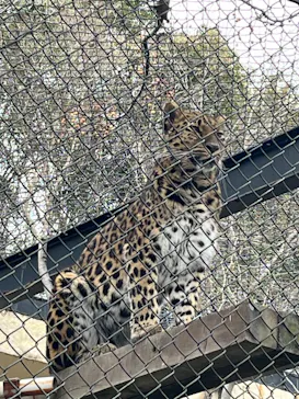 広島市安佐動物公園に投稿された画像（2026/3/12）