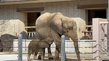 広島市安佐動物公園に投稿された画像（2026/3/12）