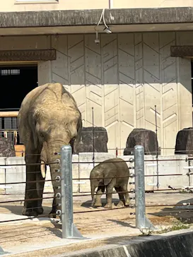 広島市安佐動物公園に投稿された画像（2026/3/12）