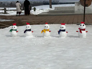 さっぽろ羊ヶ丘展望台に投稿された画像（2026/3/13）