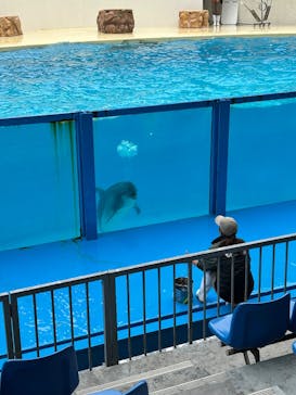伊豆・三津シーパラダイスに投稿された画像（2026/3/13）