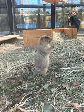 名古屋市東山動植物園に投稿された画像（2026/3/13）