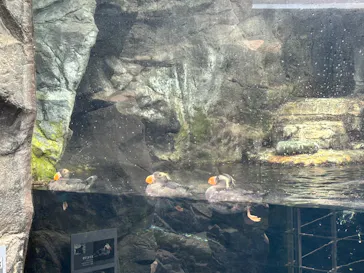 環境水族館アクアマリンふくしまに投稿された画像（2026/3/13）