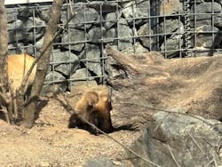 環境水族館アクアマリンふくしまに投稿された画像（2026/3/13）