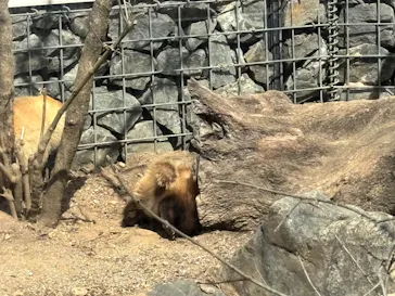 環境水族館アクアマリンふくしまに投稿された画像（2026/3/13）