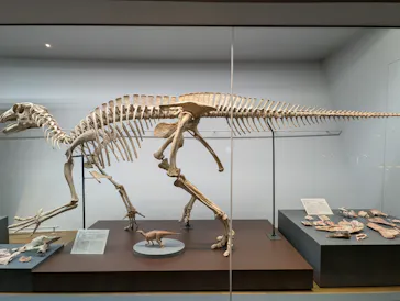 福井県立恐竜博物館に投稿された画像（2026/3/13）