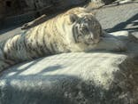 東武動物公園に投稿された画像（2026/3/13）