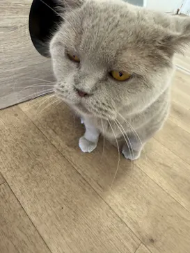 東武動物公園に投稿された画像（2026/3/13）