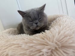 東武動物公園に投稿された画像（2026/3/13）