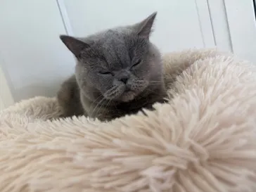 東武動物公園に投稿された画像（2026/3/13）