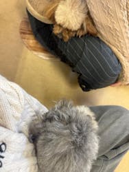 東武動物公園に投稿された画像（2026/3/13）