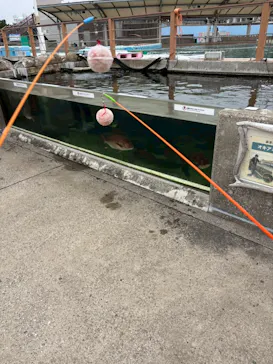 横浜・八景島シーパラダイスに投稿された画像（2026/3/13）