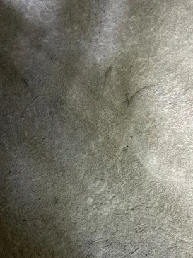 おきなわワールドに投稿された画像（2026/3/13）