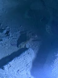 おきなわワールドに投稿された画像（2026/3/13）