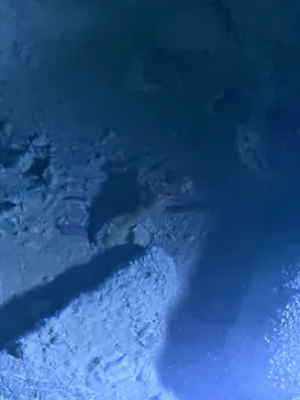 おきなわワールドに投稿された画像（2026/3/13）