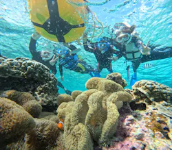 OCEAN LIFE 宮古島に投稿された画像（2026/3/13）