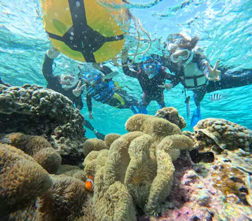 OCEAN LIFE 宮古島に投稿された画像（2026/3/13）