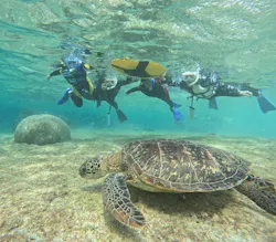 OCEAN LIFE 宮古島に投稿された画像（2026/3/13）