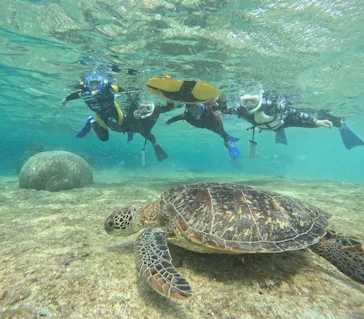 OCEAN LIFE 宮古島に投稿された画像（2026/3/13）
