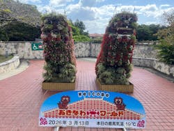 おきなわワールドに投稿された画像（2026/3/13）